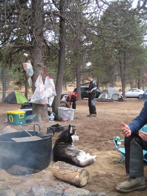 Picture 199