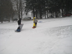 Picture 055
