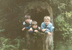tree